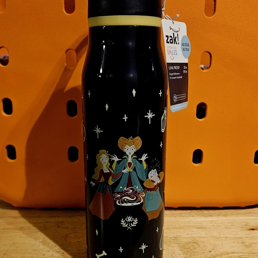 Zak! HOCUS POCUS Halloween Stainless Steel Bottle 20 oz.